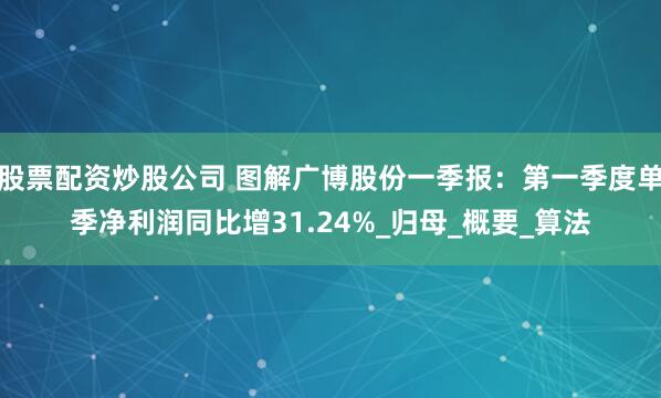 股票配资炒股公司 图解广博股份一季报：第一季度单季净利润同比增31.24%_归母_概要_算法